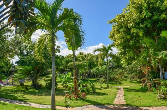 Chalet Tropical Village Las Galeras Samana jardin